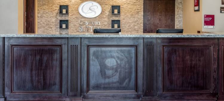 伦斯勒舒适套房酒店 - 近费尔奥克斯(Comfort Suites Rensselaer near Fair Oaks)图片