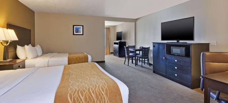 白厅舒适酒店 - 近密歇根冒险乐园(Comfort Inn Whitehall Near Michigan's Adventure)图片