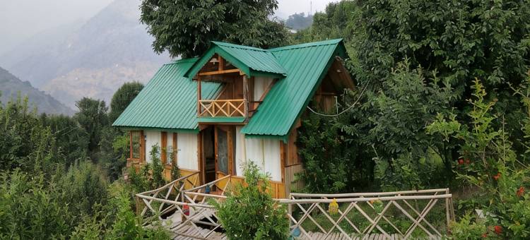 Himalayan Abode Tree House图片