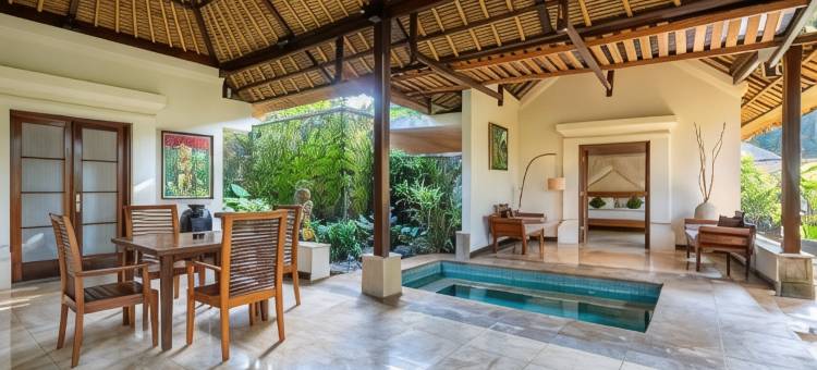 那图拉自然水疗度假酒店(Natura Villa Ubud Bali)图片