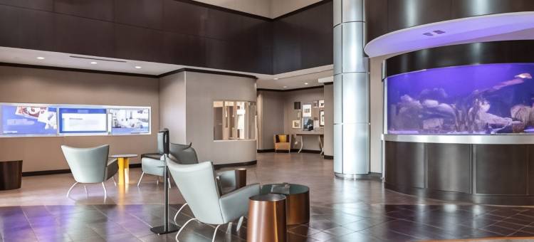 伍德威韦科 SpringHill Suites 酒店(SpringHill Suites Waco Woodway)图片
