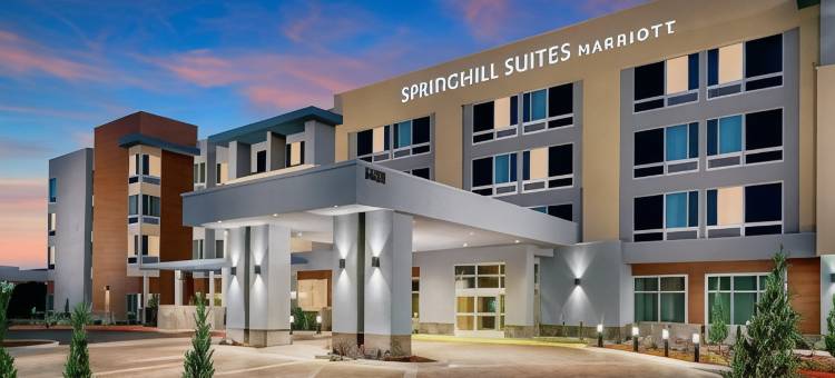 贝尔蒙特红木海岸SpringHill Suites酒店(SpringHill Suites Belmont Redwood Shores)图片