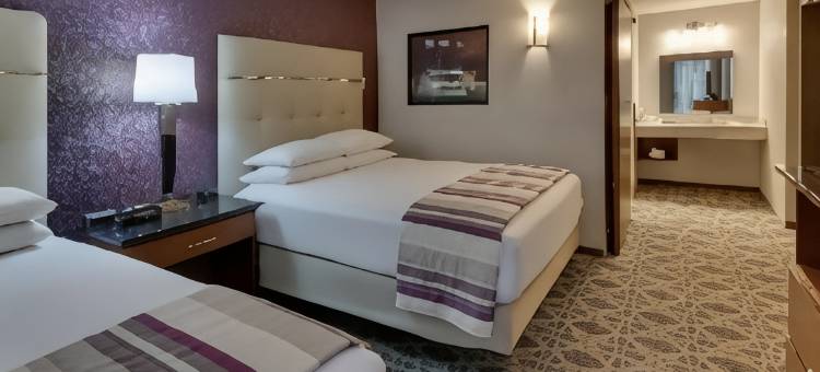 波普勒布拉夫德鲁里套房酒店(Drury Inn & Suites Poplar Bluff)图片