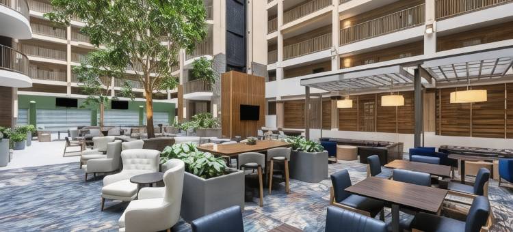 布卢明顿伊代纳希尔顿安泊酒店(Embassy Suites by Hilton Bloomington Edina)图片