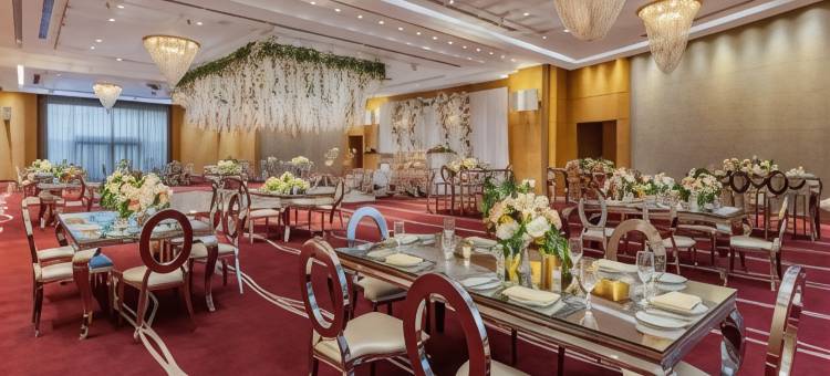 开罗机场艾美酒店(Le Meridien Cairo Airport)图片