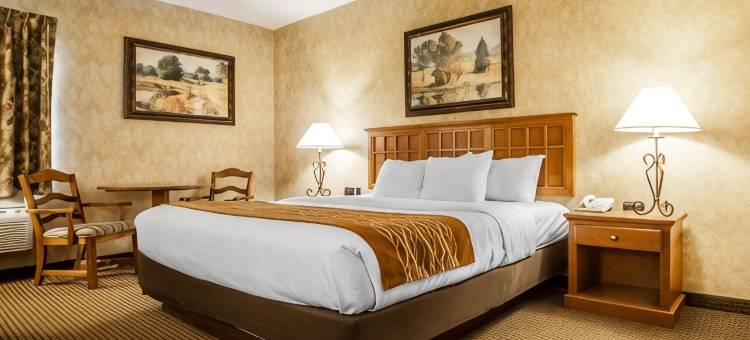 梅肯舒适套房酒店(Comfort Inn & Suites Macon)图片