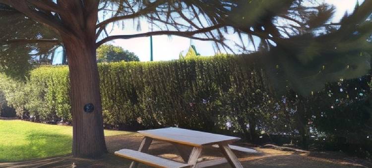 圣简维达快客普拉斯酒店 - A709(Quick Palace St Jean de Vedas - A709)图片