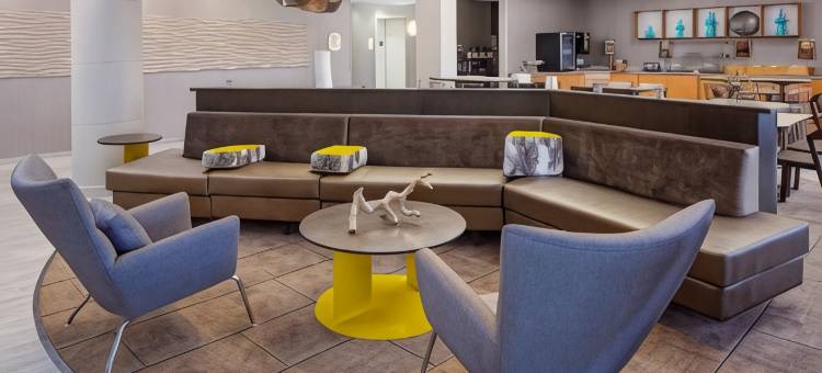 阿德莫尔万豪SpringHill Suites 酒店(SpringHill Suites Ardmore)图片
