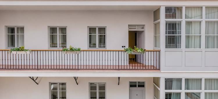 Adrez Living的4棵树公寓(4 Trees Apartments by Adrez)图片