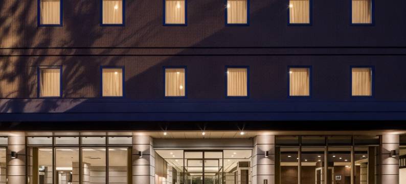 日本之门酒店(N GATE HOTEL OSAKA)图片