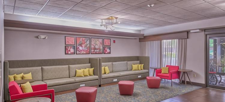 希尔顿欢朋酒店-夫雷明顿(Hampton Inn Flemington)图片