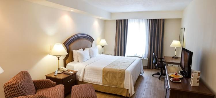 蒙特雷科隆贝斯特韦斯特优质酒店(Best Western Plus Monterrey Colon)图片
