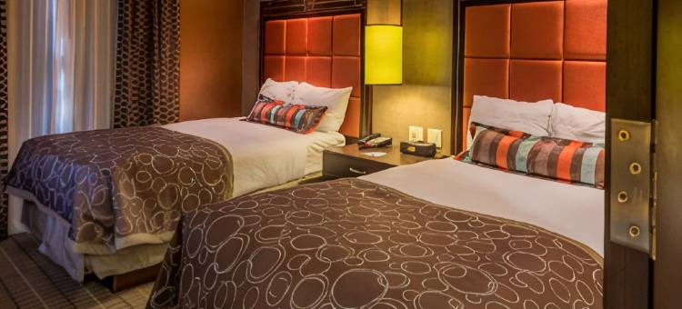 Staybridge Suites DFW机场北 by IHG(Staybridge Suites DFW Airport North)图片