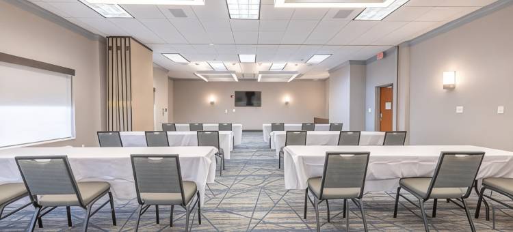 克利奇站智选假日套房酒店(Holiday Inn Express & Suites College Station)图片