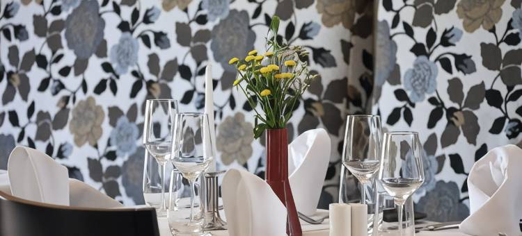 阿特什莫林酒店(Hotel ARTE Schwerin)图片