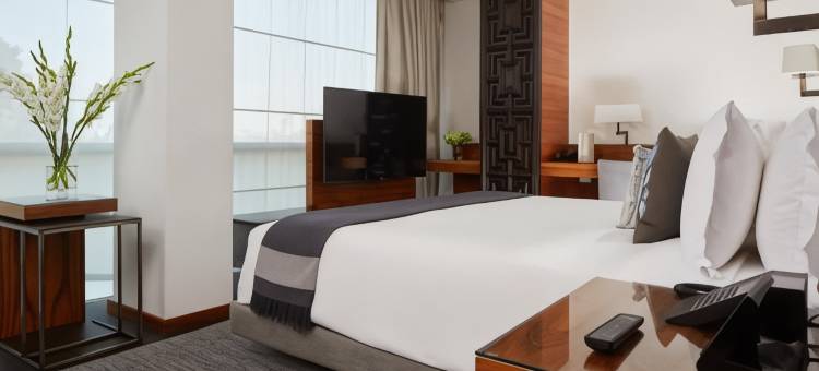 阿科巴斯墨西哥城豪华精选酒店(Las Alcobas, a Luxury Collection Hotel, Mexico City)图片