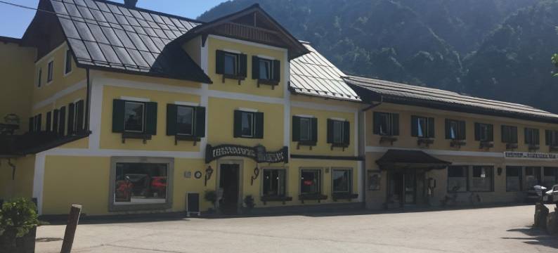 梅兹格维特维耶海利酒店(Metzgerwirt Vieh Heli)图片