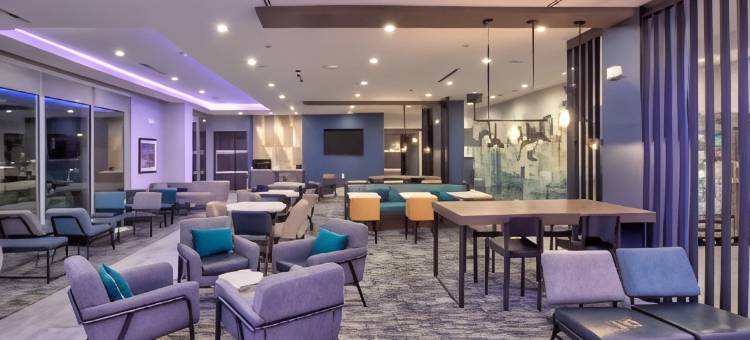 達拉斯费尔帕克温德姆拉昆塔套房酒店(La Quinta Inn & Suites by Wyndham Dallas/Fairpark)图片