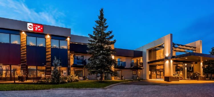 劳瑞尔山贝斯特韦斯特优质酒店(Best Western Plus Mont-Laurier)图片