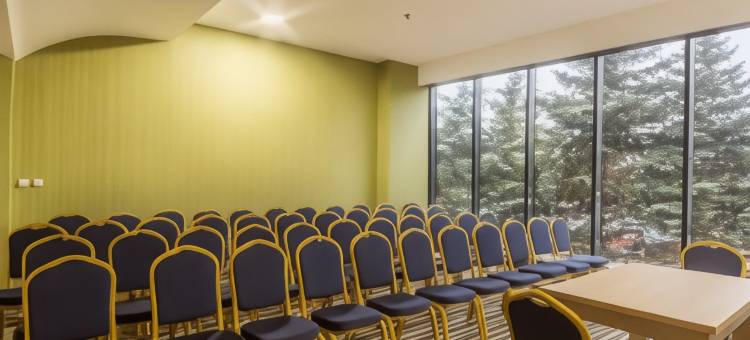 雅西希尔顿欢朋酒店(Hampton By Hilton Iasi)图片