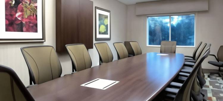 美国希尔顿花园酒店明尼阿波利斯机场购物中心(Hilton Garden Inn Minneapolis Airport Mall of America)图片