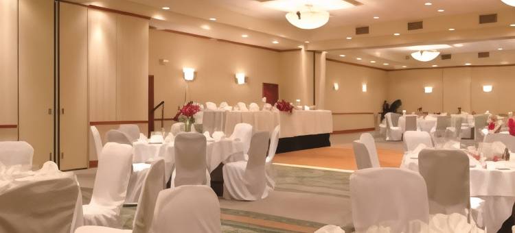 埃德蒙顿国际机场希尔顿花园酒店(Hilton Garden Inn Edmonton International Airport)图片