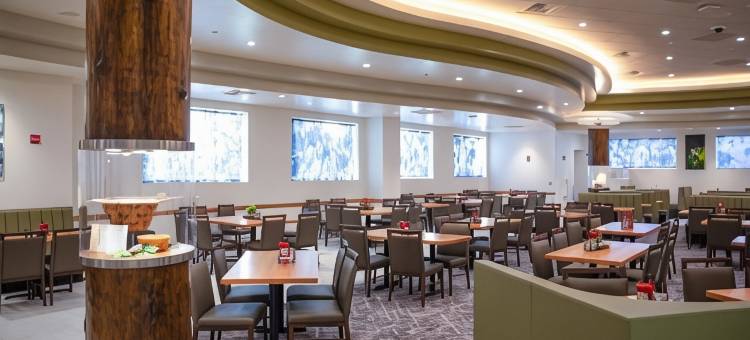 黑橡树 度假酒店(The Hotel at Black Oak Casino Resort)图片