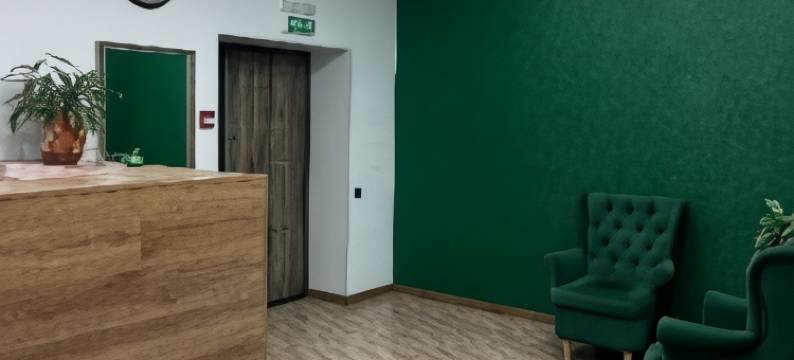 Guest House Metelitsa图片