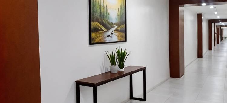 双棕榈宾馆(Twin Palm Guesthouse)图片