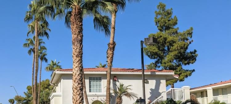 凤凰城贝蒙特/坦佩大学酒店及套房by Wyndham(Baymont Inn & Suites by Wyndham Tempe University/Phoenix)图片