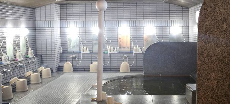 大冢胶囊旅馆(Capsule Inn Otsuka)图片