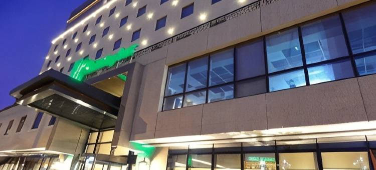 布尔萨市中心假日酒店(Holiday Inn BURSA - CITY CENTRE by IHG)图片