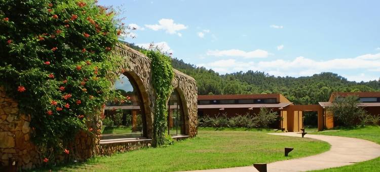 玛斯萨尔维乡村精品酒店(Mas Salvi Country Boutique Hotel)图片