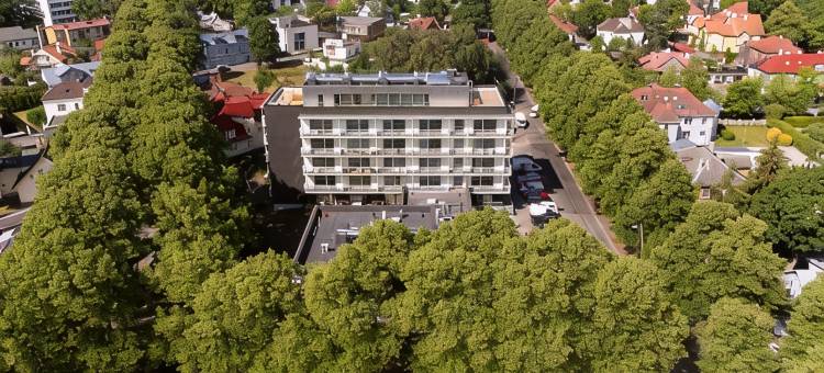 帕尔努的鲍勃W(Bob W Pärnu)图片