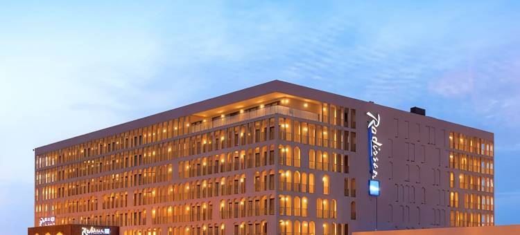 丽笙蓝标酒店-恩贾梅纳(Radisson Blu Hotel N'Djamena)图片