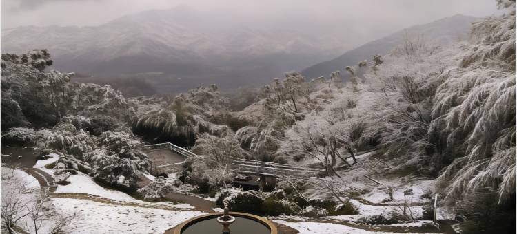 桃园普拉多山丘假期图片