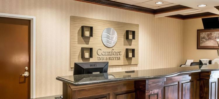 舒适酒店及套房斯帕坦堡北(Comfort Inn & Suites at I-85)图片