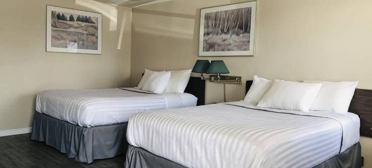 伊利堡骑士酒店(Knights Inn Fort Erie)图片