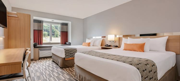 凯隆温德姆套房麦客达酒店(Microtel Inn & Suites by Wyndham Clarion)图片