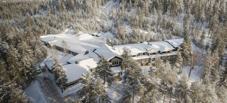 比尔旅馆拉普兰酒店(Lapland Hotels Bear´s Lodge)图片