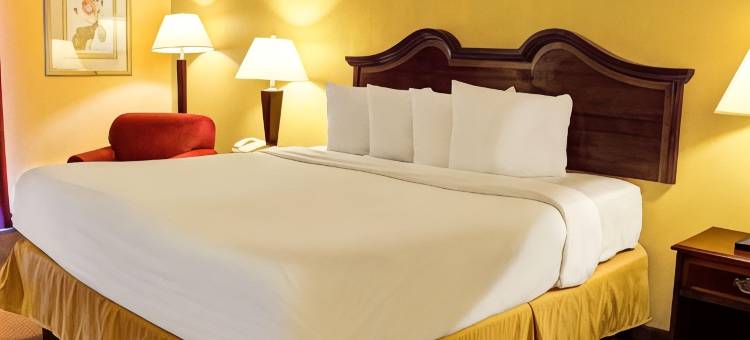 诺斯品质酒店(Quality Inn North)图片