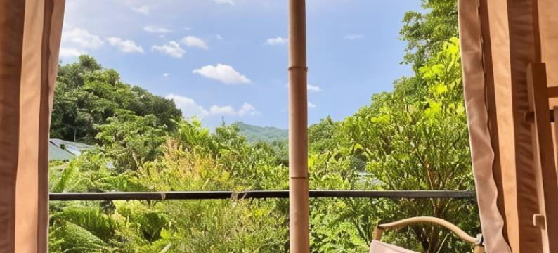 考艾特色山谷营地(The Signature Valley Khao-Yai Campus)图片