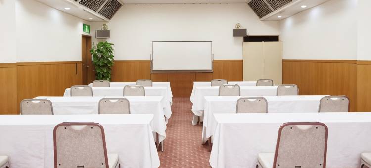 冈山卓越酒店(Hotel Excel Okayama)图片