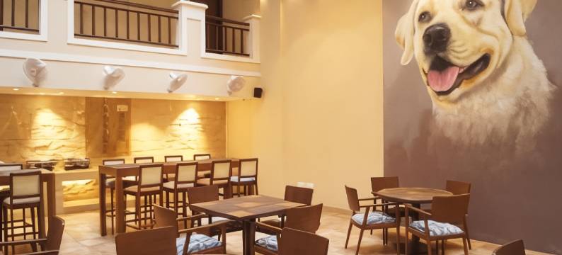 希拉优一号酒店(Sharayu One)图片