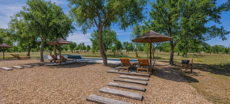 通斯山高尔夫温泉别墅酒店(Tons da Terra - Casa de Campo & Spa)图片