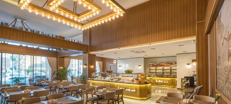 柏悦德德曼梅尔辛码头(Park Dedeman Mersin Marina)图片