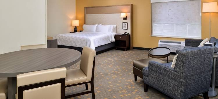 Holiday Inn & Suites 奥佛兰公园CONV点击率(Holiday Inn & Suites Overland Park-Conv Ctr)图片