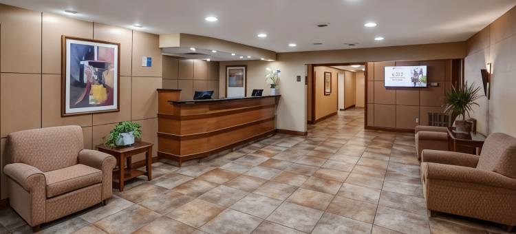 拉皮尔贝斯特韦斯特酒店(Best Western Lapeer Inn)图片