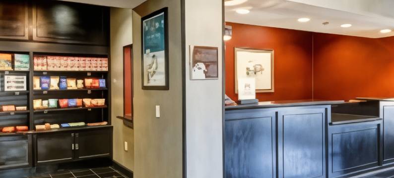 利斯堡Homewood Suites by Hilton(Homewood Suites by Hilton Leesburg)图片