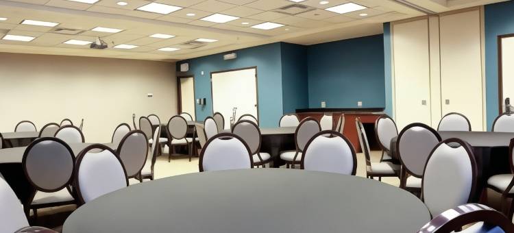 坦帕韦斯利查普尔欢朋套房酒店(Hampton Inn & Suites Tampa-Wesley Chapel)图片